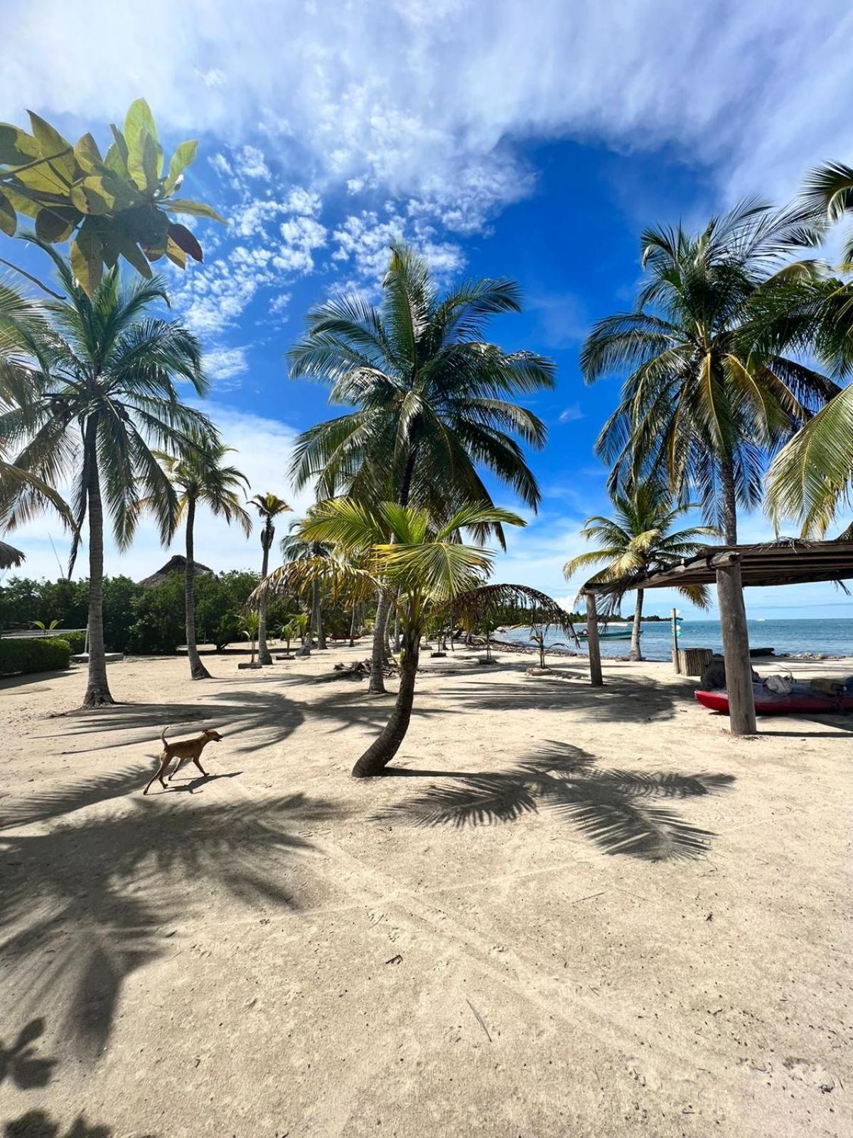 Hostel Beach House Ринкон Экстерьер фото
